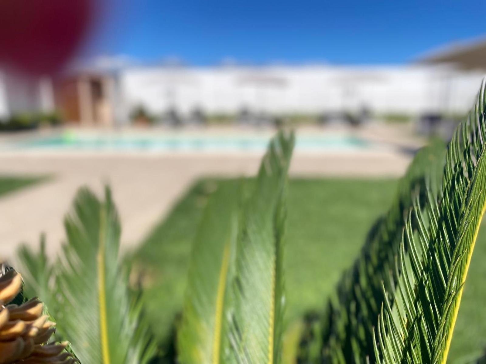 Bisignano Agriturismo Albachiara المظهر الخارجي الصورة